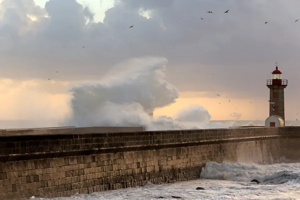 Wave at sunset