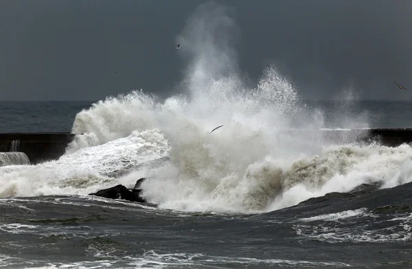 Stormbølger over moloen – stockfoto