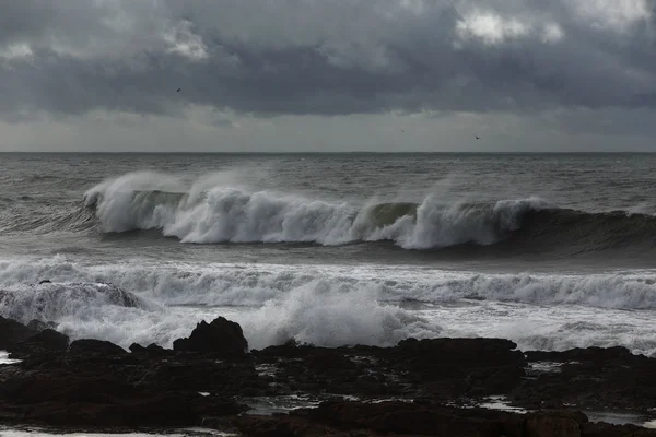 Otoño paisaje marino malhumorado — Foto de Stock