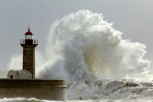 Tempestade ensolarada — Fotografia de Stock