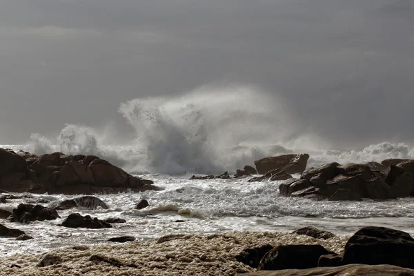 Côte de mer — Photo