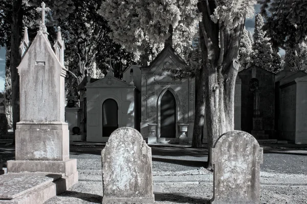 Infrared cemetery — Stock Photo, Image