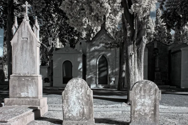 Cimetière infrarouge — Photo