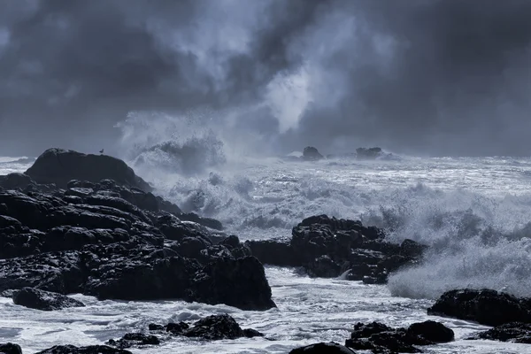 Stormachtige kust — Stockfoto