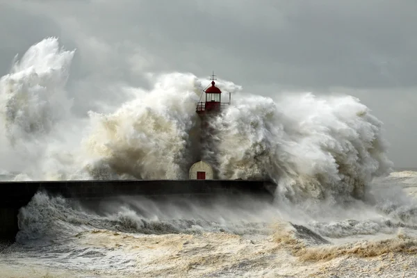 Rüzgarlı sahil — Stok fotoğraf
