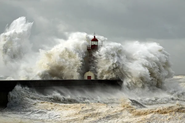 Windige Küste — Stockfoto