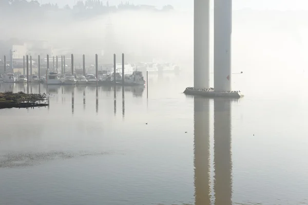 Nebbia Douro fiume marina — Foto Stock