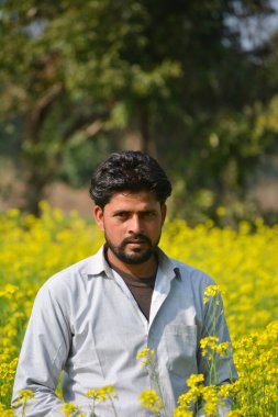 Kara hardal tarlasında genç Hintli çiftçi