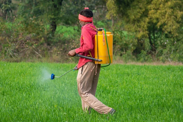 Indian Farmer Spraying Fertilizer His Wheat Field Agriculture Worker — Stock Photo, Image