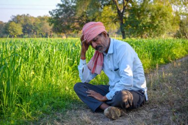 Endişeli Hintli çiftçi tarlada kafa kafaya oturuyor mahsul hatası ya da borç yüzünden.