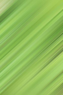 bulanık ışık renkli arka plan ve güzellik doku rotaları.