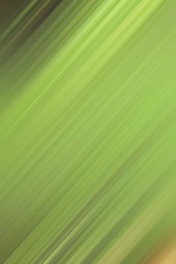 bulanık ışık renkli arka plan ve güzellik doku rotaları.