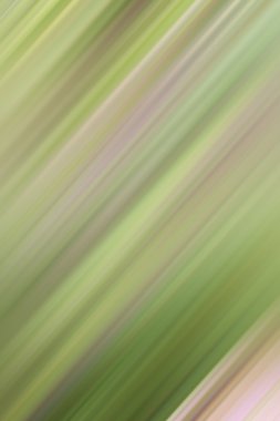 bulanık ışık renkli arka plan ve güzellik doku rotaları.