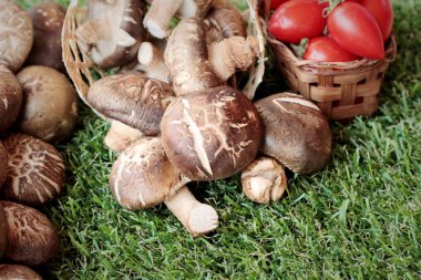 Yemek pişirmek için sebze ve mantar