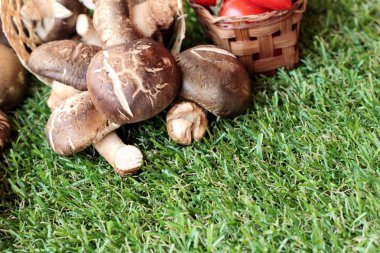 Yemek pişirmek için sebze ve mantar