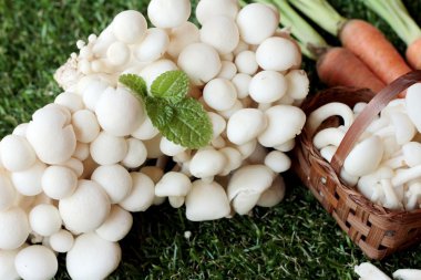 Yemek pişirmek için sebze ve mantar