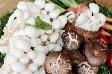 Yemek pişirmek için sebze ve mantar