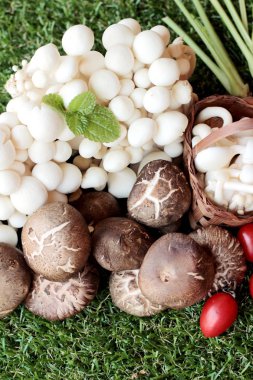 Yemek pişirmek için sebze ve mantar