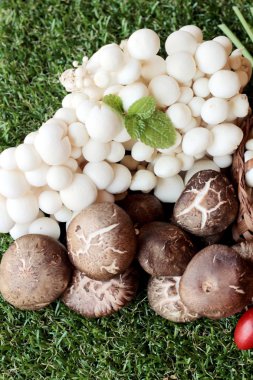 Yemek pişirmek için sebze ve mantar