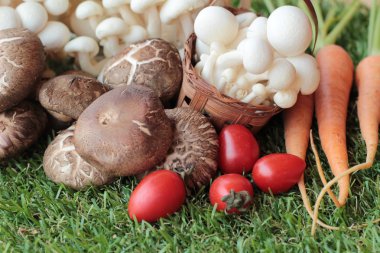 Yemek pişirmek için sebze ve mantar