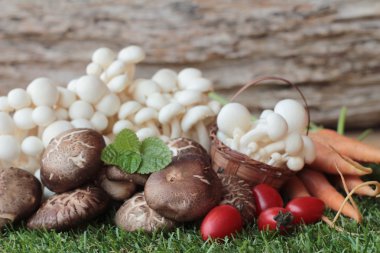 Yemek pişirmek için sebze ve mantar