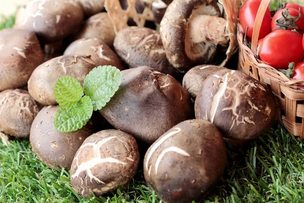 Yemek pişirmek için sebze ve mantar