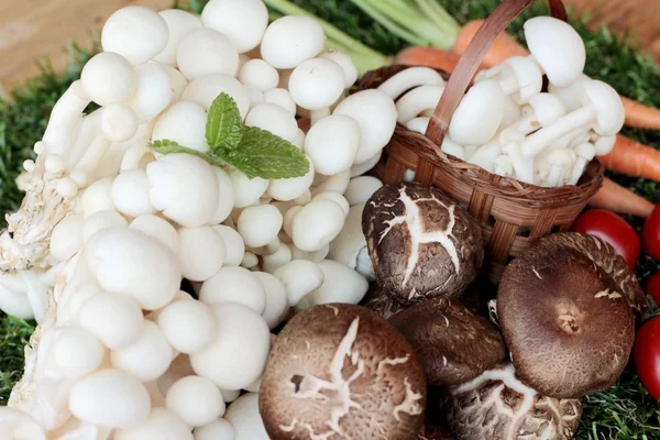 Yemek pişirmek için sebze ve mantar