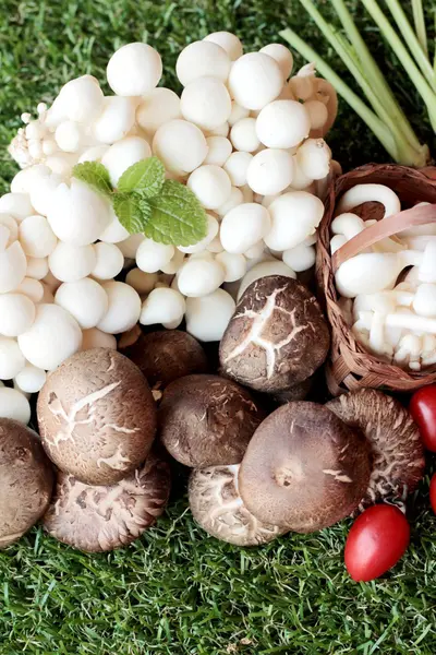 Yemek pişirmek için sebze ve mantar