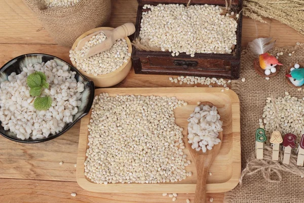 为健康和原料大麦熟的大麦 — 图库照片