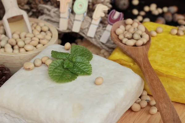 Tofu a sójové boby je vynikající — Stock fotografie