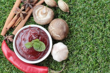 Kore kırmızı biber gochujang yemek pişirmek için