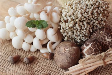 Ahşap arka plan üzerinde sebze ve mantar.