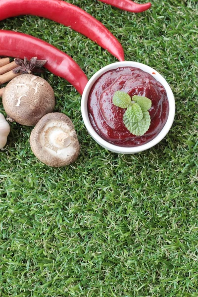 Kore kırmızı biber gochujang yemek pişirmek için