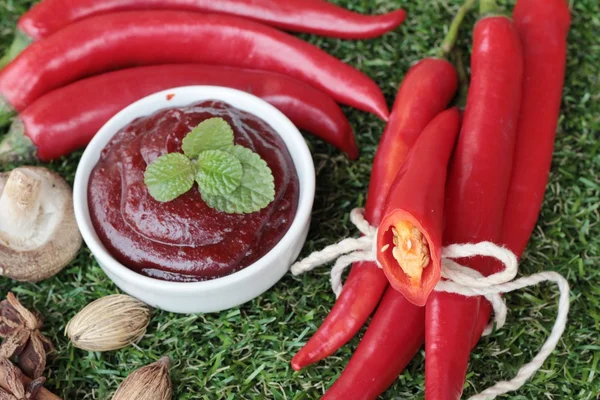 Korean red pepper gochujang for cooking — Stock Photo, Image