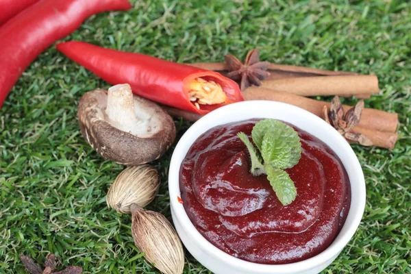 Korean red pepper gochujang for cooking — Stock Photo, Image