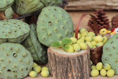 Ahşap arka plan doğa içinde Lotus tohum