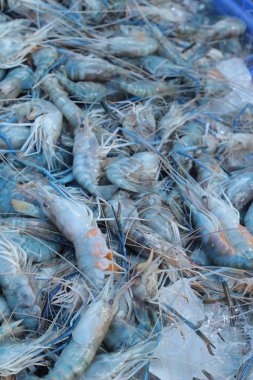 Belgili tanımlık çarşı içinde yemek pişirmek için taze karides.