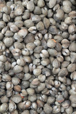 belgili tanımlık çarşı içinde yemek pişirmek için taze cockle