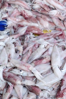 belgili tanımlık çarşı içinde yemek pişirmek için taze kalamar.