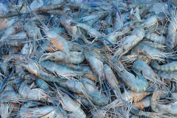 Udang segar untuk memasak di pasar . — Stok Foto