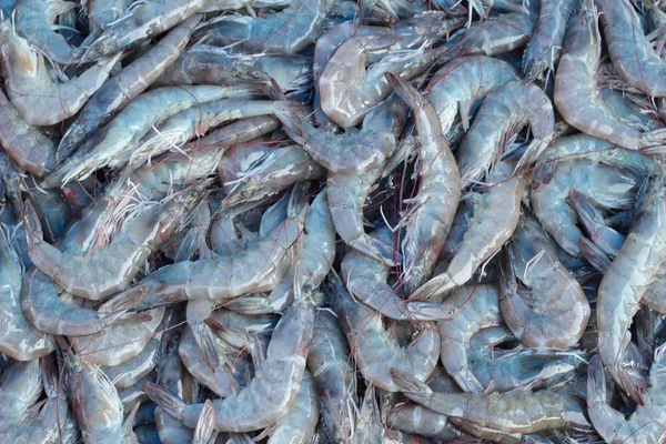 Verse garnalen voor het koken in het aangevraagde merk — Stockfoto