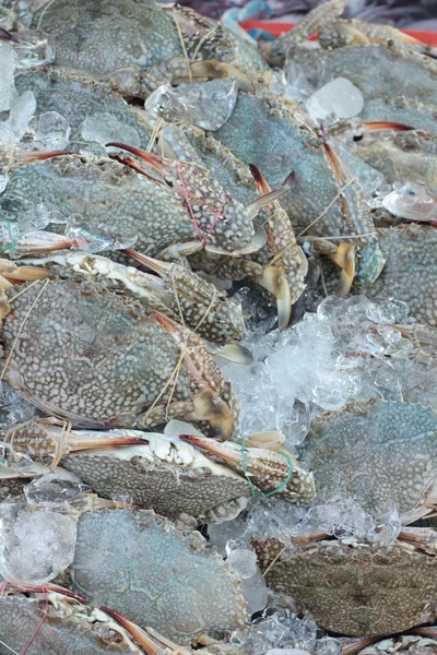 Cangrejo de mar fresco para cocinar en el mercado . — Foto de Stock