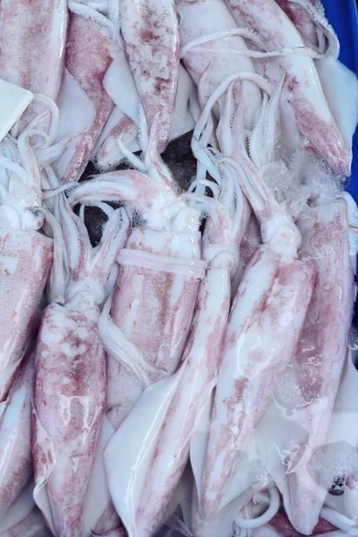 Fresh squid for cooking in the market. — Stock Photo, Image