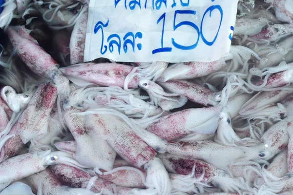 Lulas frescas para cozinhar no mercado . — Fotografia de Stock