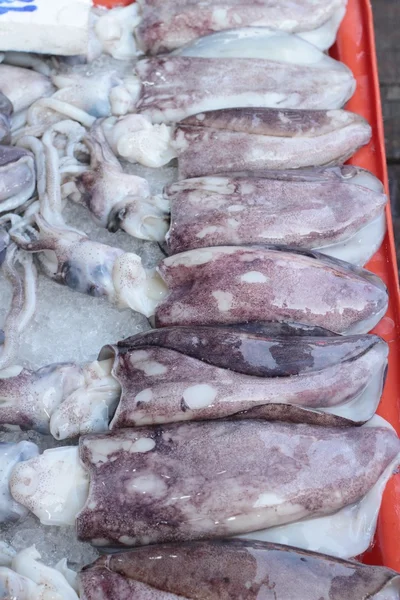 Fresh squid for cooking in the market. — Stock Photo, Image