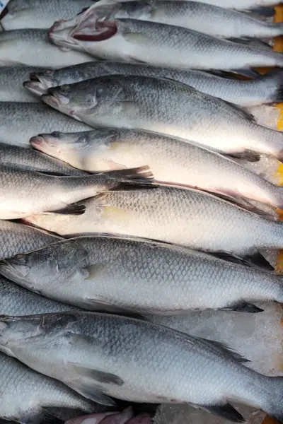 Färsk fisk för matlagning på marknaden. — Stockfoto