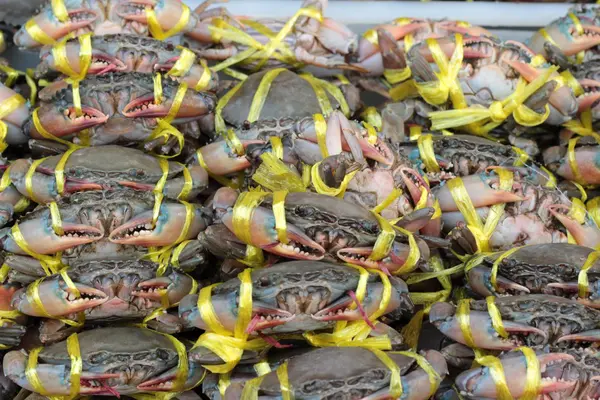 Verse zee krab voor het koken in de markt. — Stockfoto