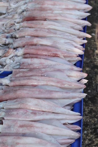 Calamari freschi per cucinare nel mercato . — Foto Stock