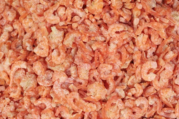 Dried shrimp for cooking in the market. — Stock Photo, Image