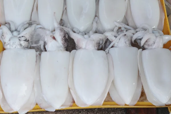 Lulas frescas para cozinhar no mercado . — Fotografia de Stock